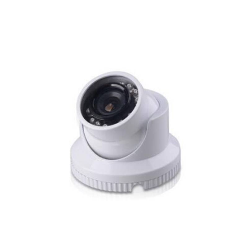 Dome camera D-130S